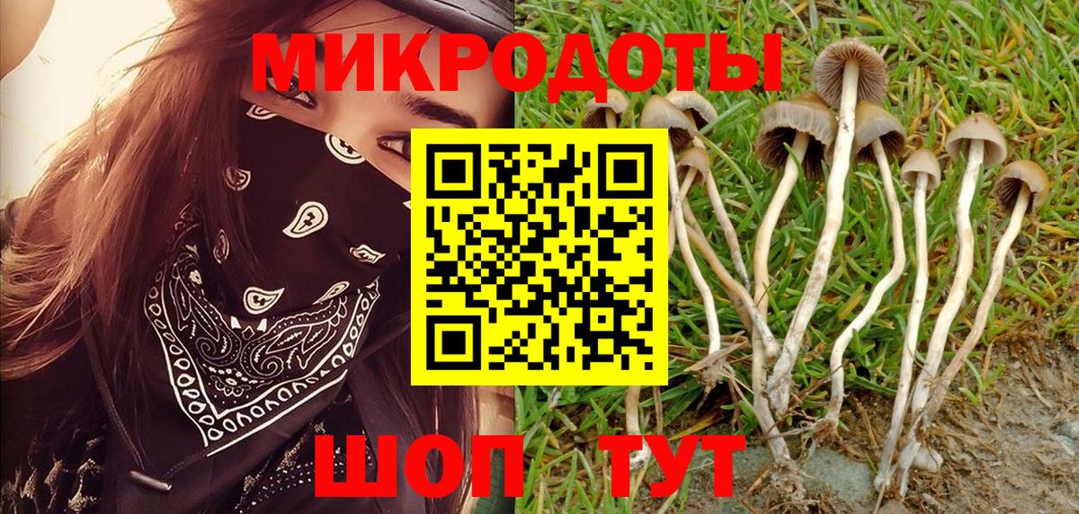 Псилоцибиновые грибы Magic Shrooms  Вход с VPN  Вязьма 