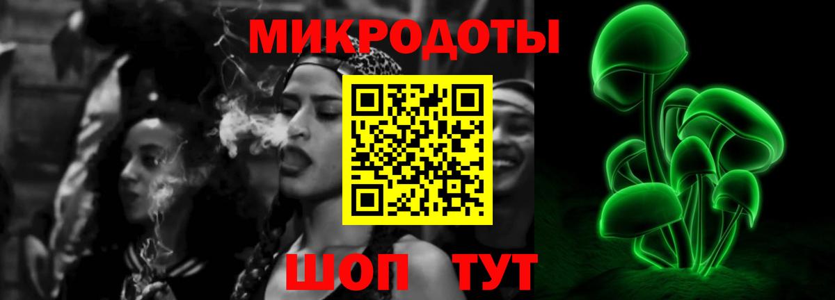 Псилоцибиновые грибы Psilocybe Вязьма